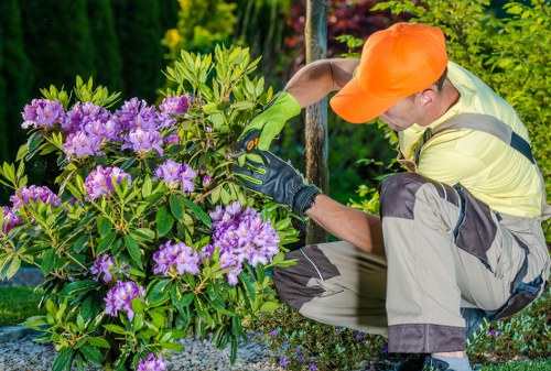 Gardener inspecting a residential garden with tools and paperwork for insurance and safety checks