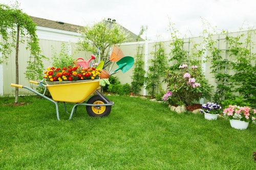 Cleaned and maintained garden after tree removal in Teddington