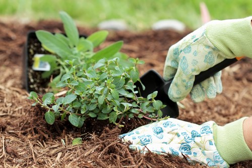 Professional landscaper designing an outdoor space in Teddington