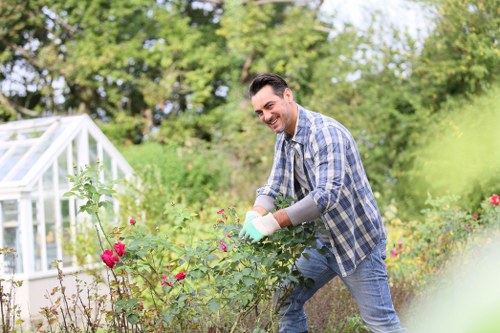 Professional hedge trimming service in Teddington