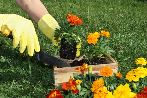 Teddington garden maintenance services