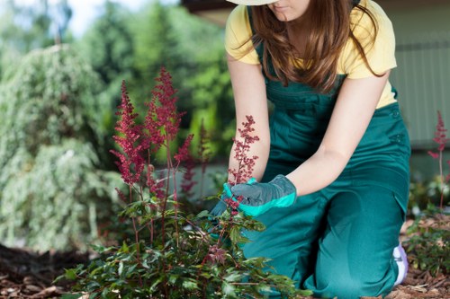 Sustainable garden practices in Teddington