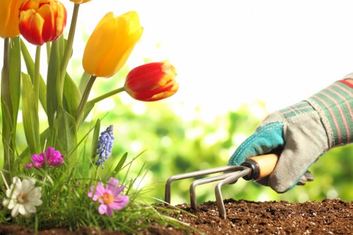 Lush green garden showing expert care