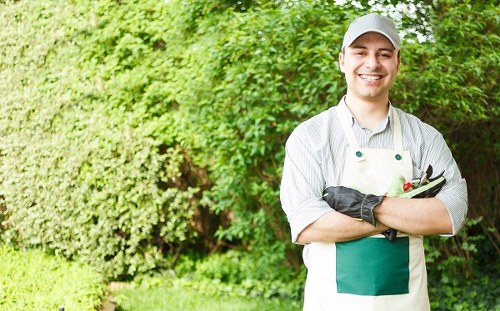 Tools and techniques for effective hedge trimming