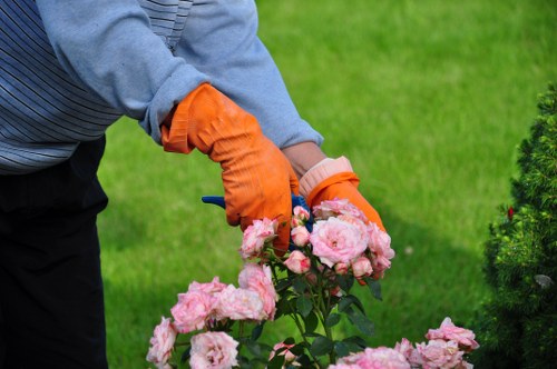 Eco-friendly garden clearance practices