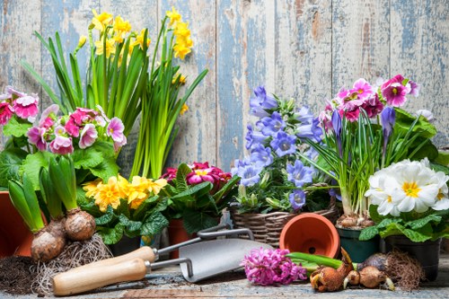Diverse plant selection in a Teddington garden