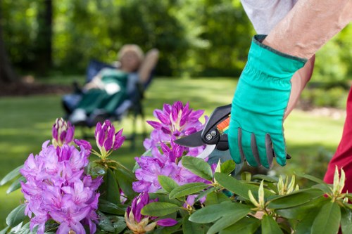 Lush Teddington garden with effective irrigation