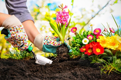 Professional garden services including soil management in Teddington