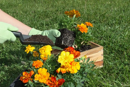 Expert gardeners working in Teddington garden